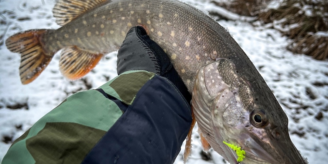 Где искать щуку на реке при ловле с берега?