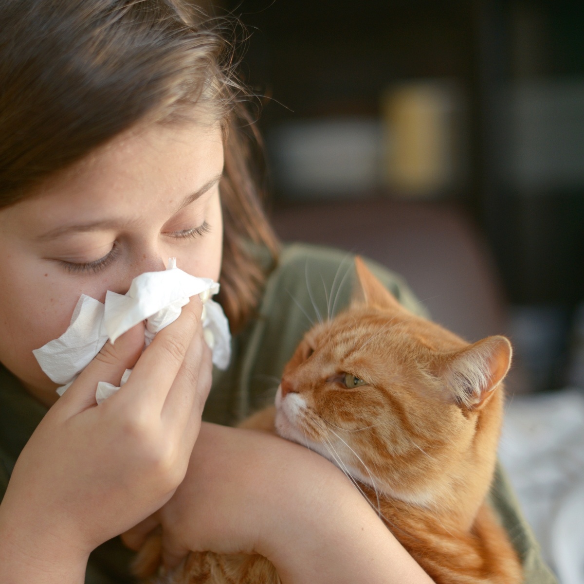 Аллергия на животных