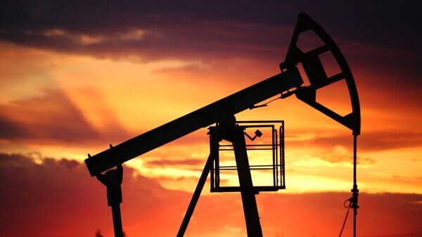    © Sputnik / Максим Богодвид