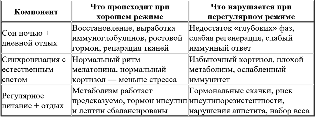 Почему режим дня так важен: иммунитет, гормоны и здоровье