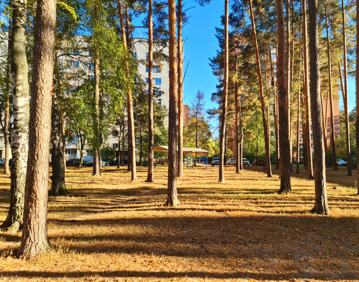 Радуюсь хорошей природе эти "пр" мне нравяться. Вот это я точно беру с собой🌞