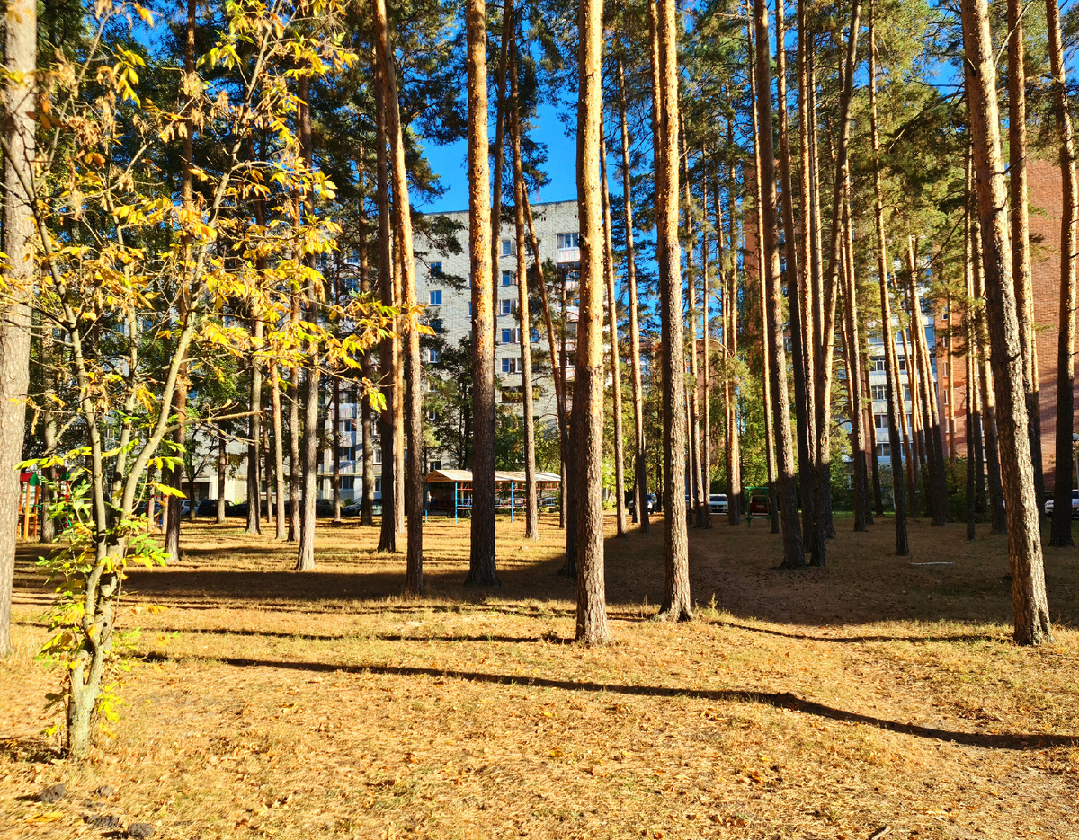 Не всем дано и не все смогут пережить то, что я когда-то пережила, зато теперь солнечное счастье исключительно для меня