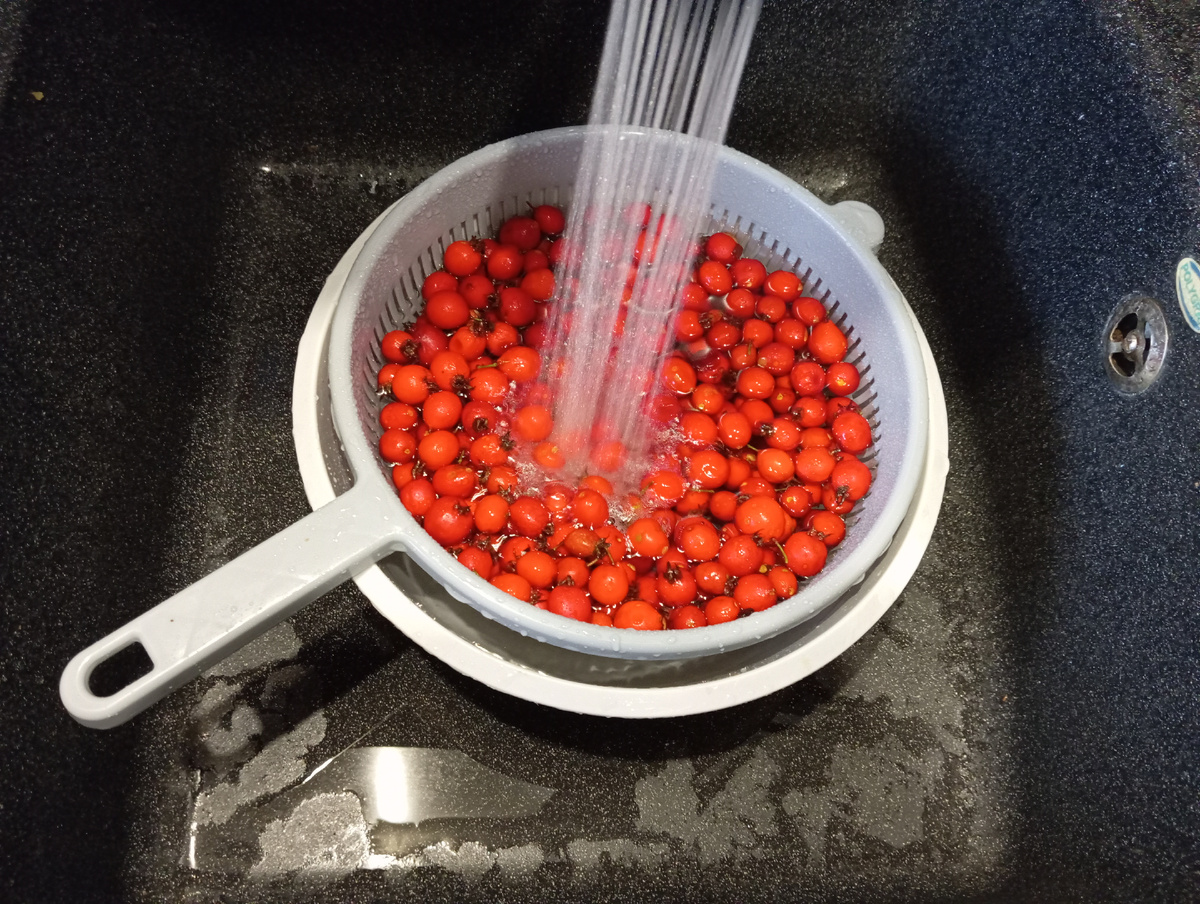 Ягоды боярышника в роцессе мойки