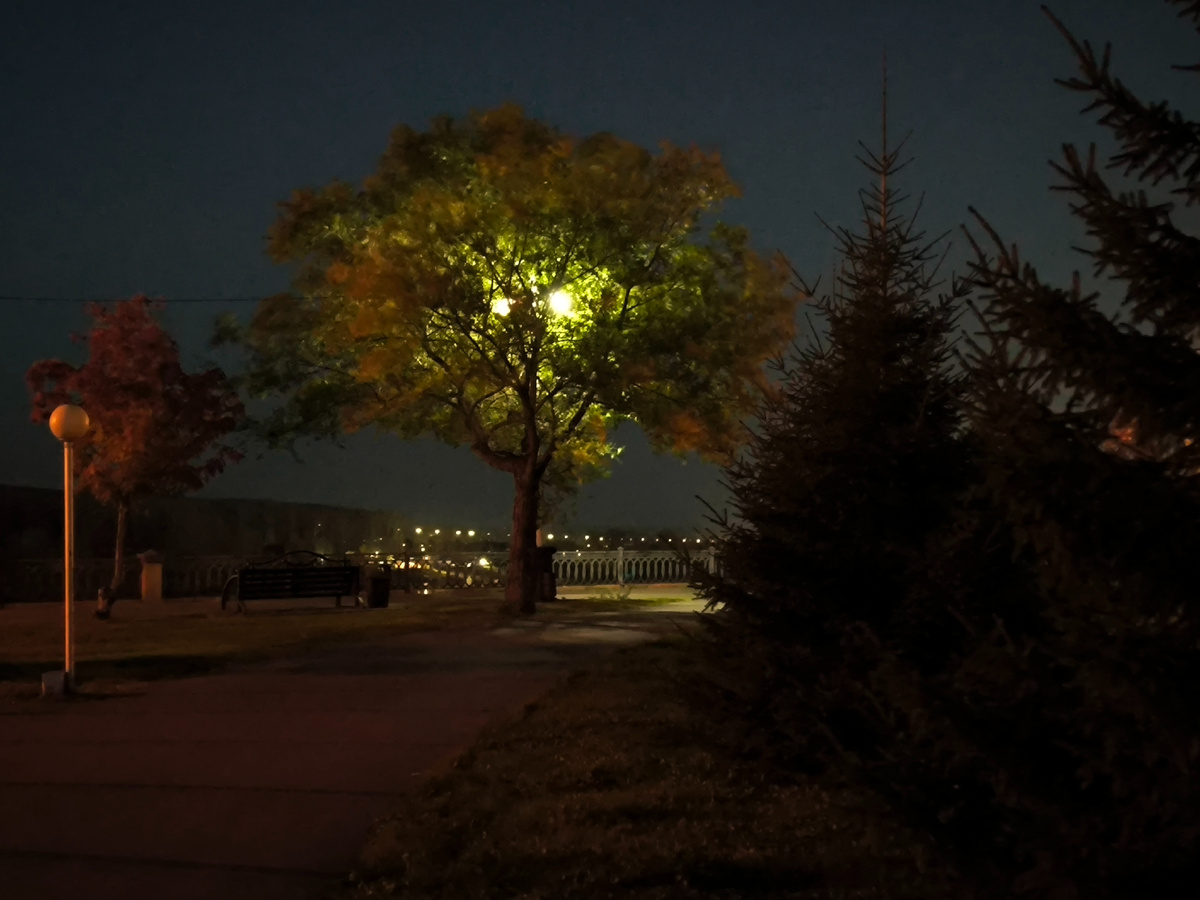На неделе было тепло, хотя временами случались и дождики. Хотелось гулять