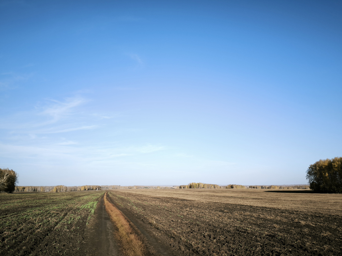 Оглянуться назад