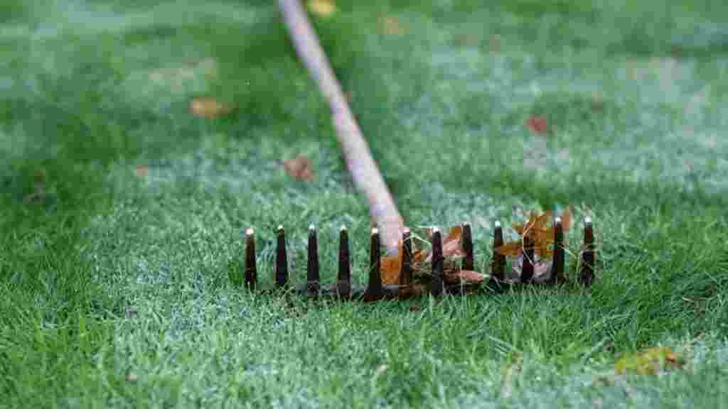 Любимые грабли