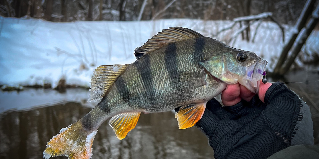 Не бывает плохой погоды - бывает неправильный настрой рыболова