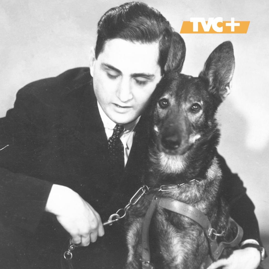 Бадди и Моррис