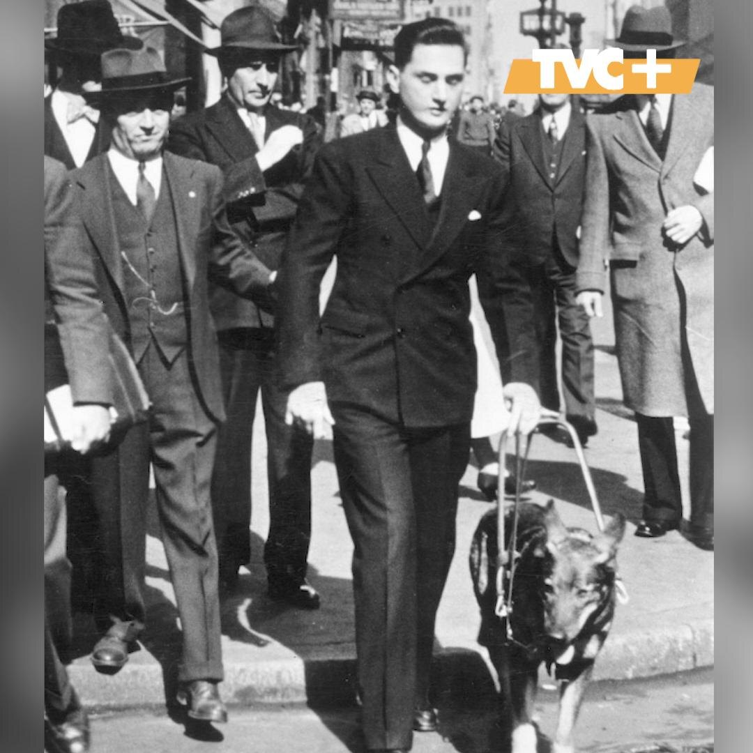 Бадди и Моррис на прогулке в Нью-Йорке