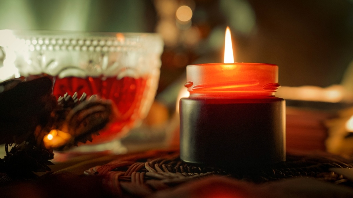 Светлана Мулыкина📷
