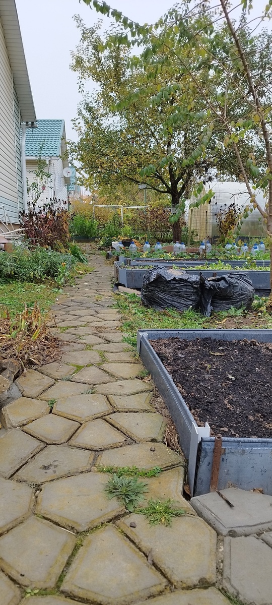 Дорожка позади дома. Ещё убирать и убирать, а уже холодно. Ну, что успею! Три грядки из пяти сейчас свободны. На них и посажу тюльпаны!