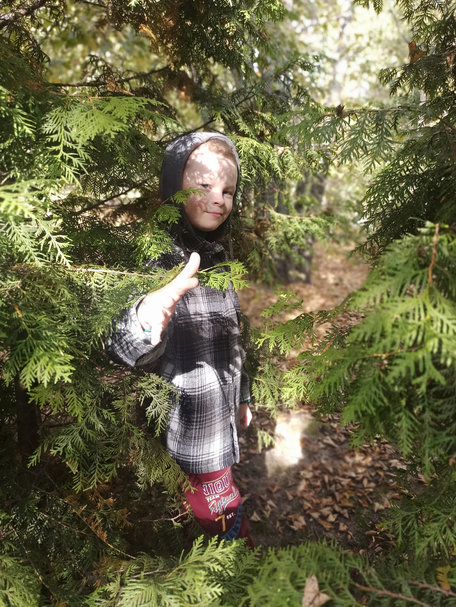 Попробуйте найти 😏(фото автора). 