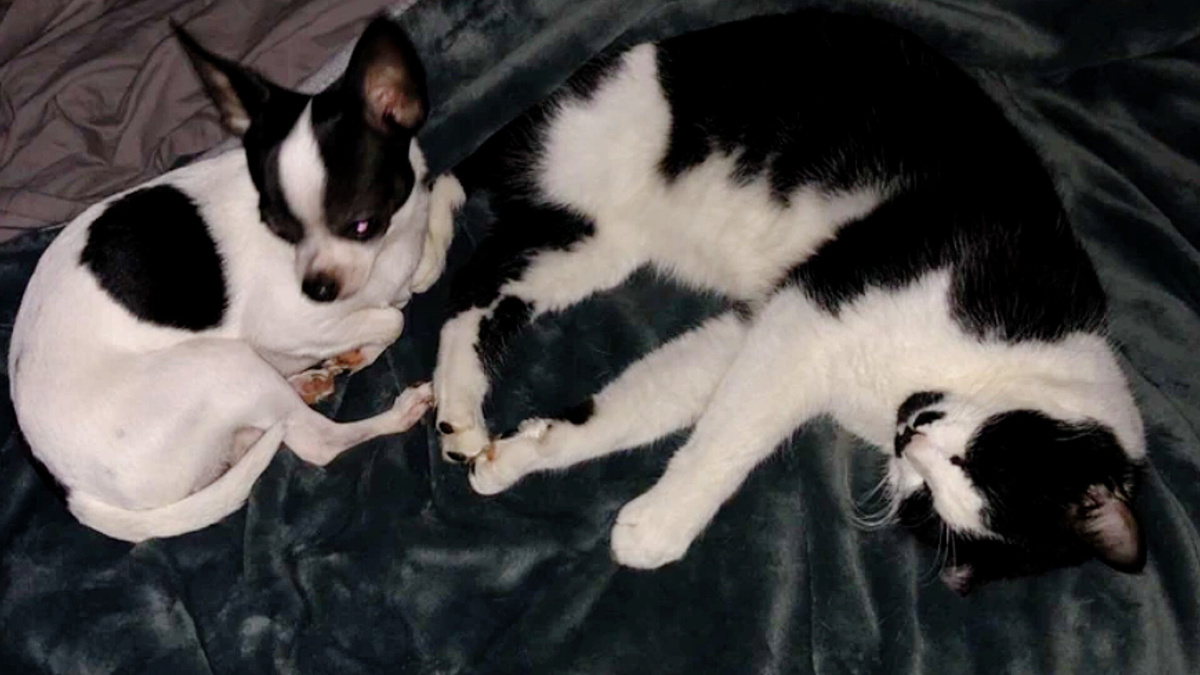 Черно-белое кино, всех роднее мне оно! ЕЩЕ фото --->>