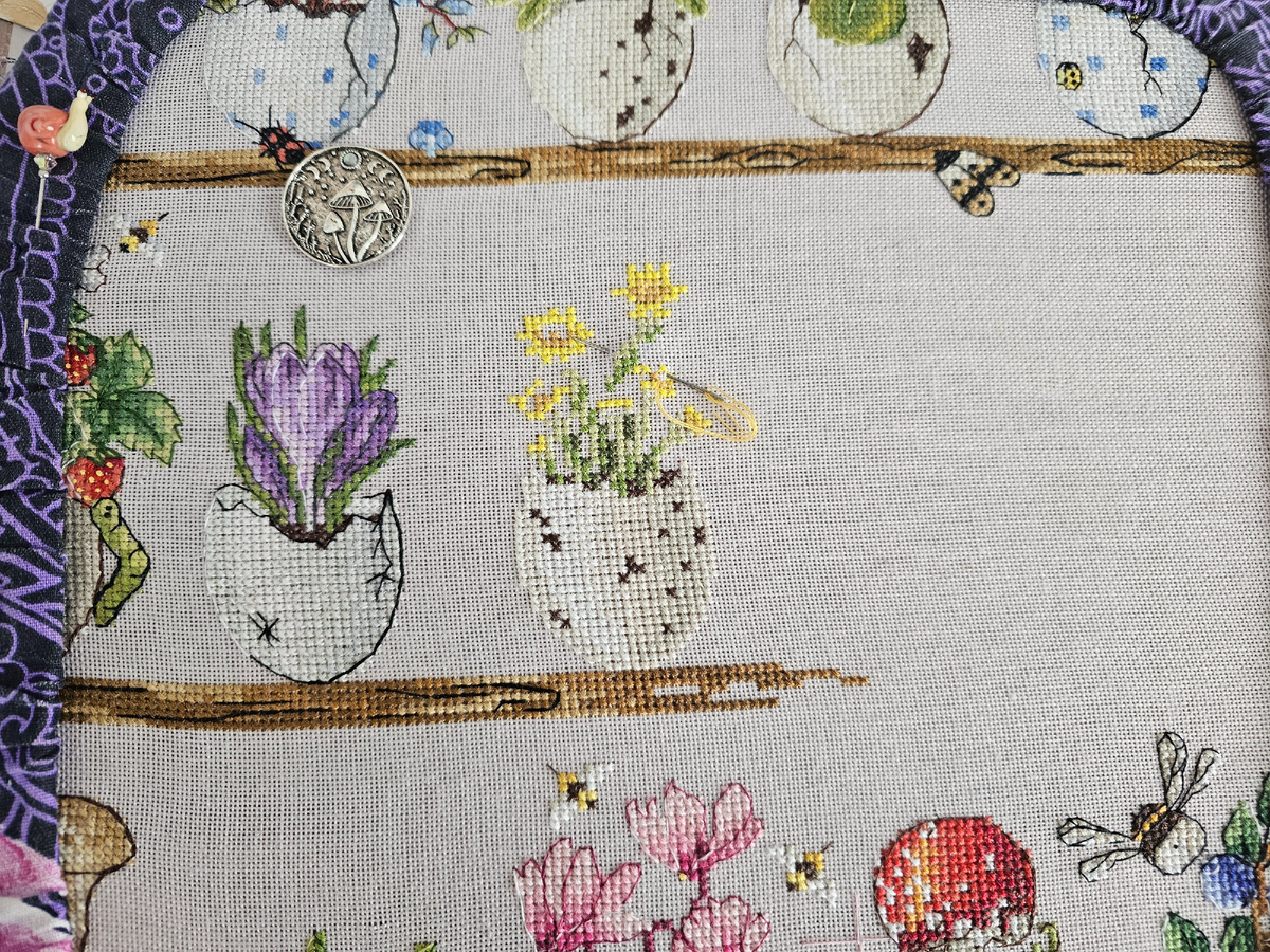 Чудеса в скорлупках. Стало