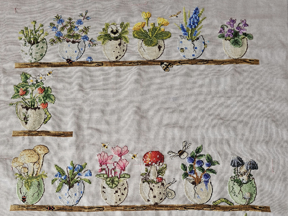 Чудеса в скорлупках. Было на начало месяца