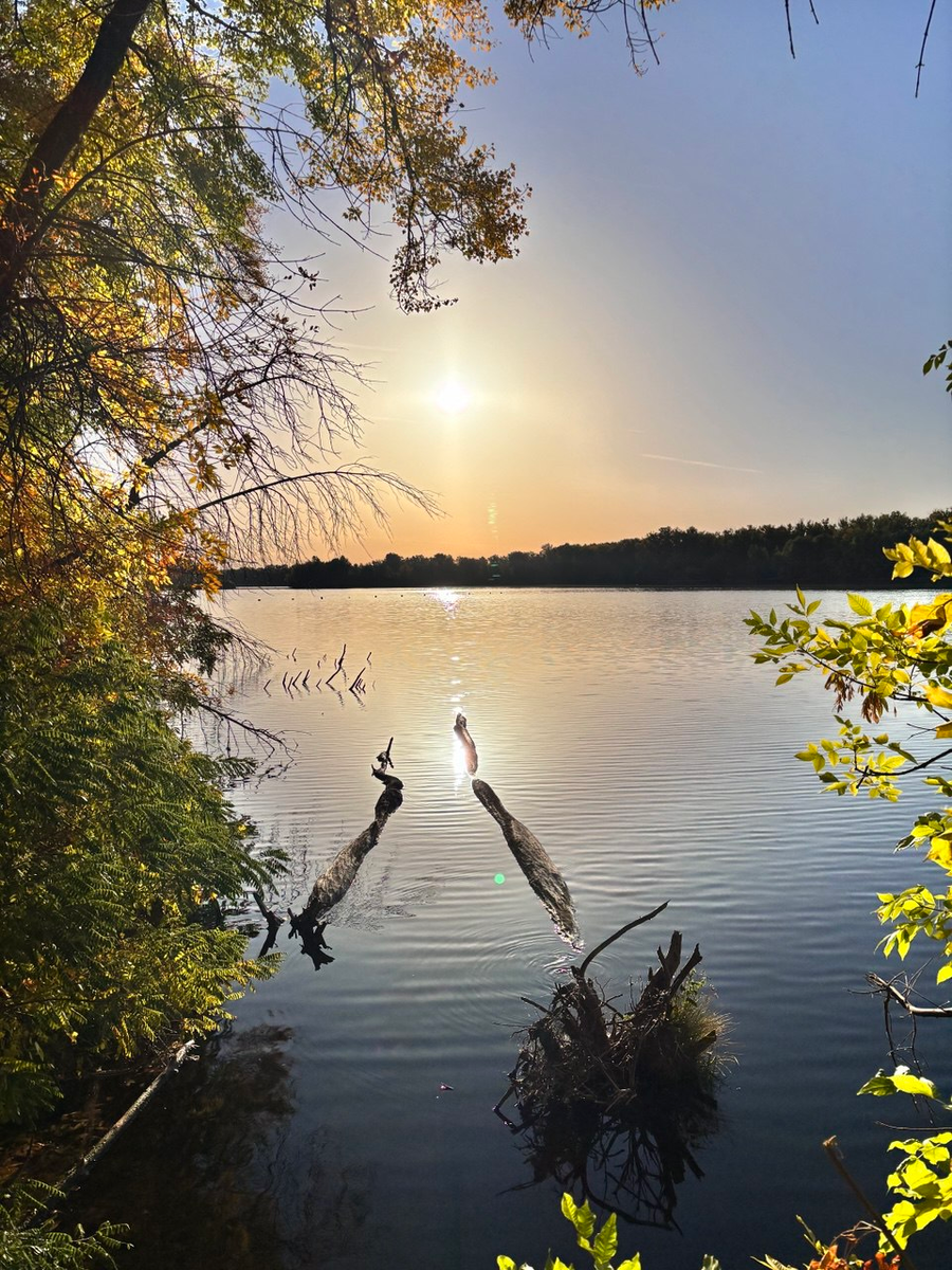 Вот такая у нас красота.