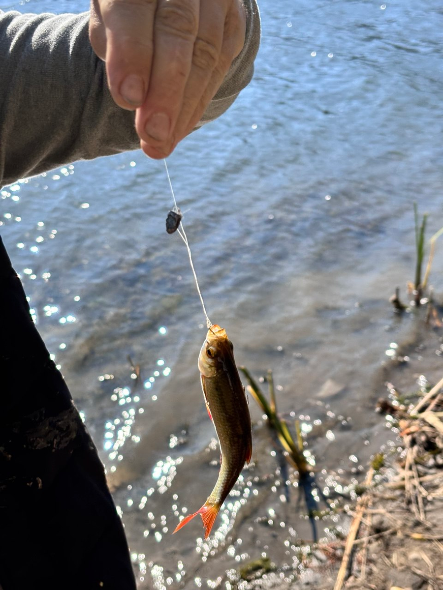 Первый улов