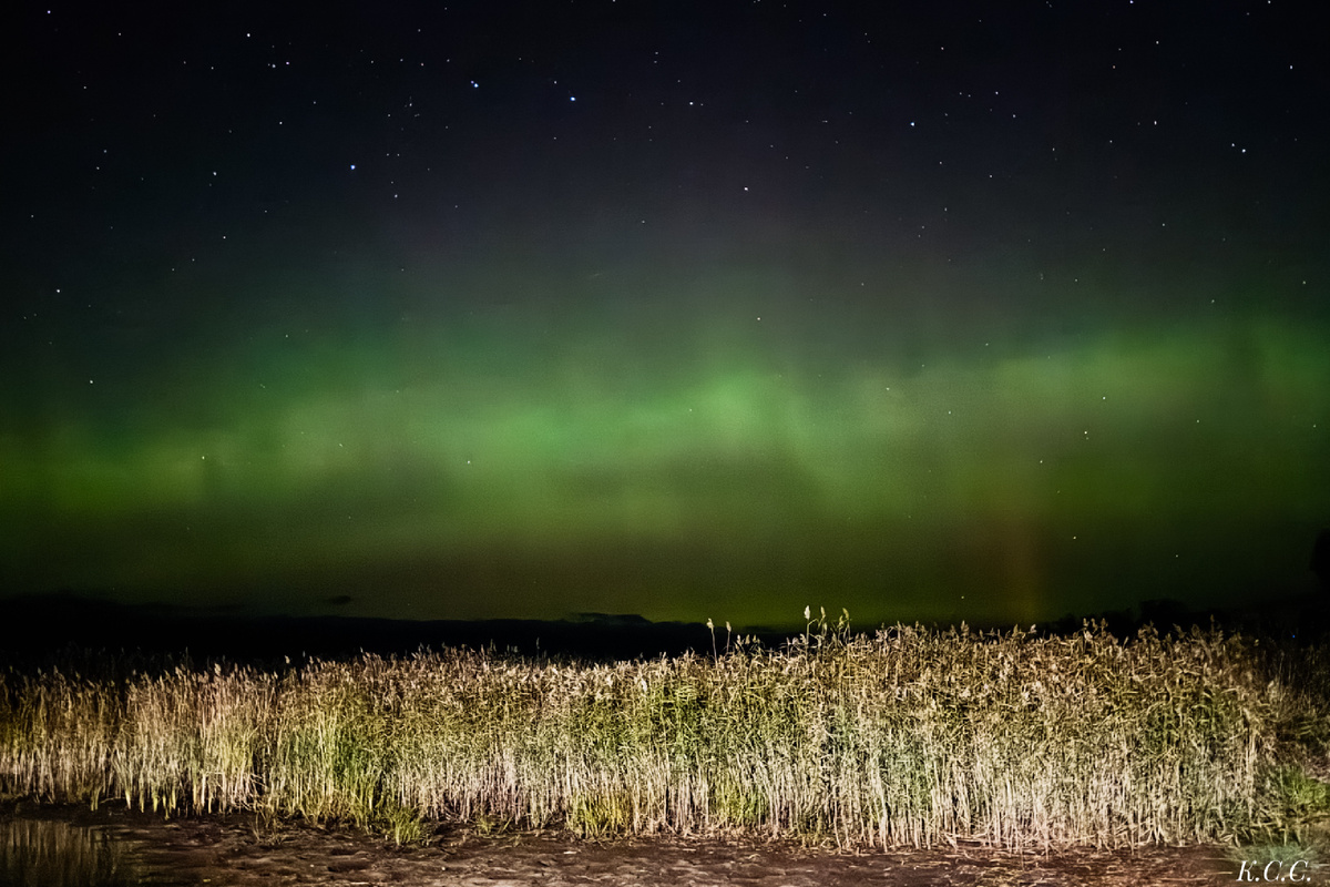 Северное сияние, Ленинградская область, фото автора.
