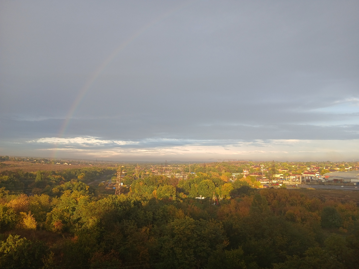 Деревья) Лучше всяких антидепрессантов)