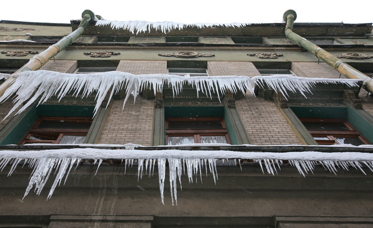 фото Петербургский Дневник