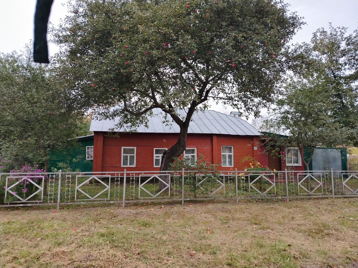 Мой любимый домик в Чаплыгине. 