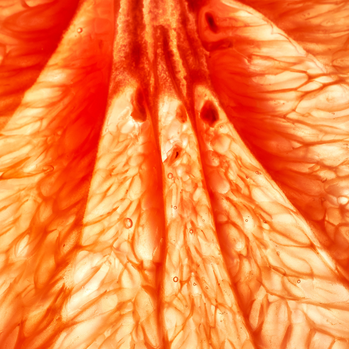 Макроснимок грейпфрута