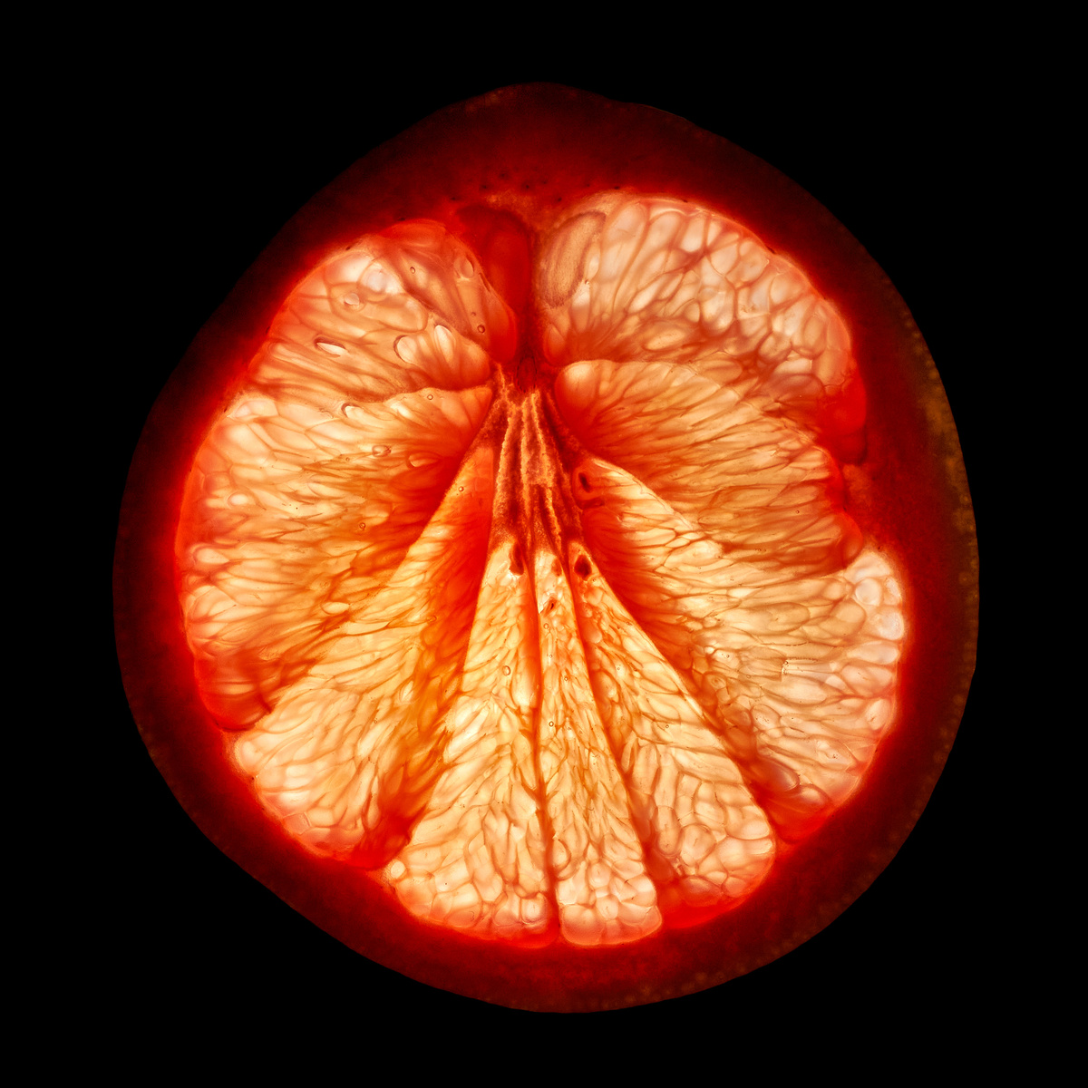 Макроснимок грейпфрута на черном фоне.