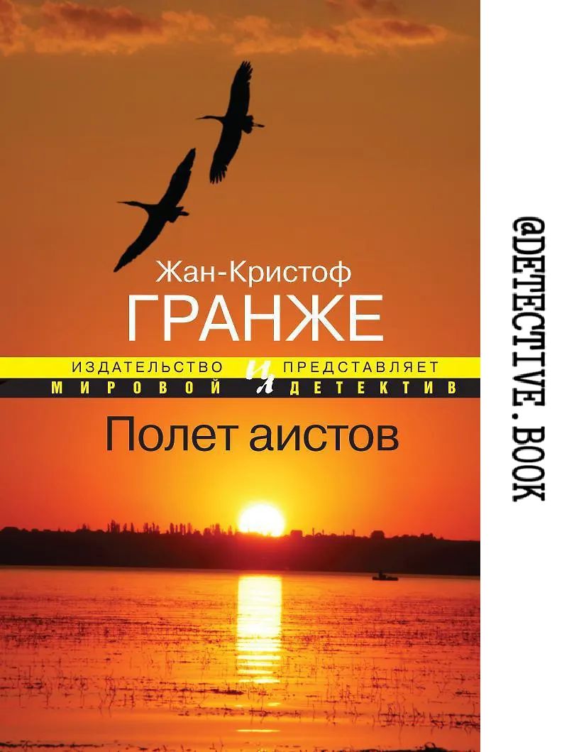 "Полёт аистов" Жан-Кристоф Гранже @detective.book на Дзен