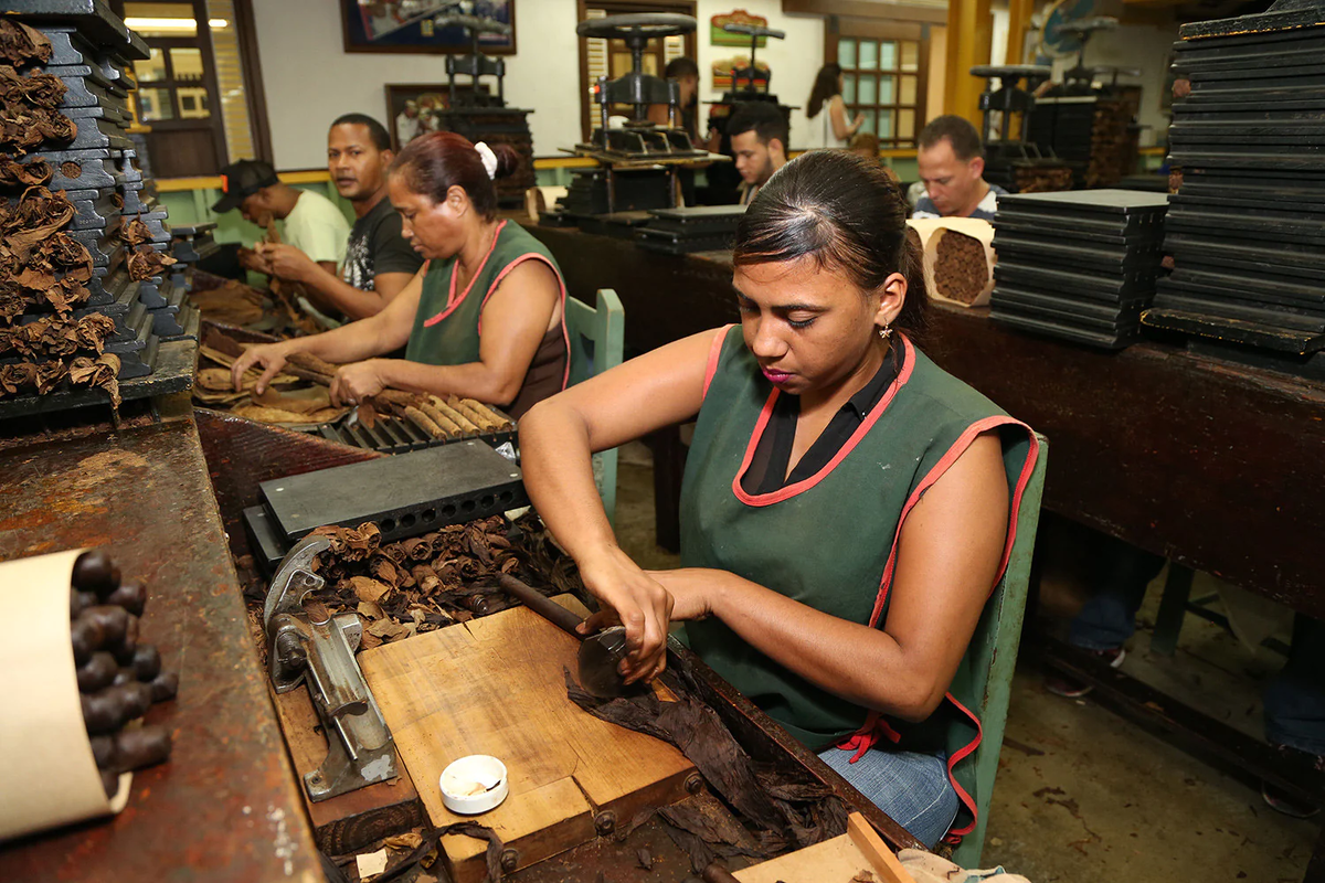 Торседоры работают на фабрике сигар. Фото pandatells.com