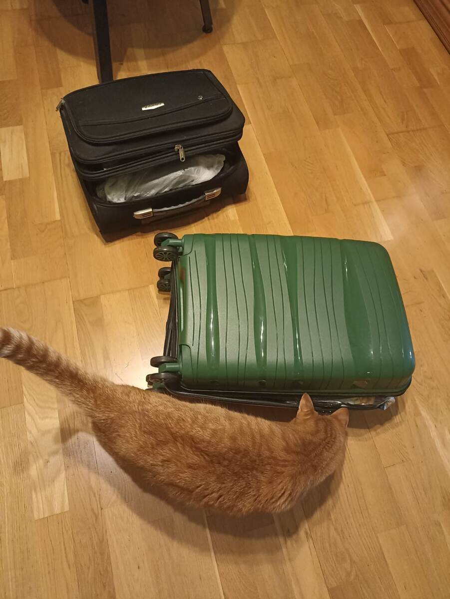 Проверяющий )) 