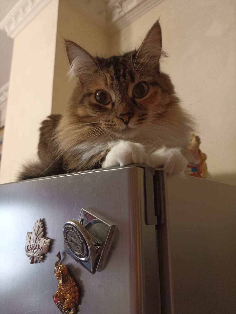 Тася руководила на кухне