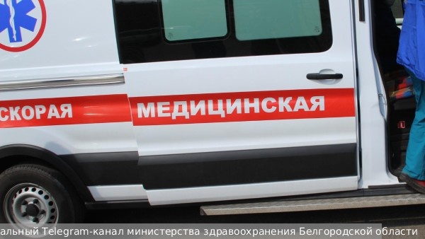     Фото: Официальный Telegram-канал министерства здравоохранения Белгородской области   
 Текст: Антон Антонов