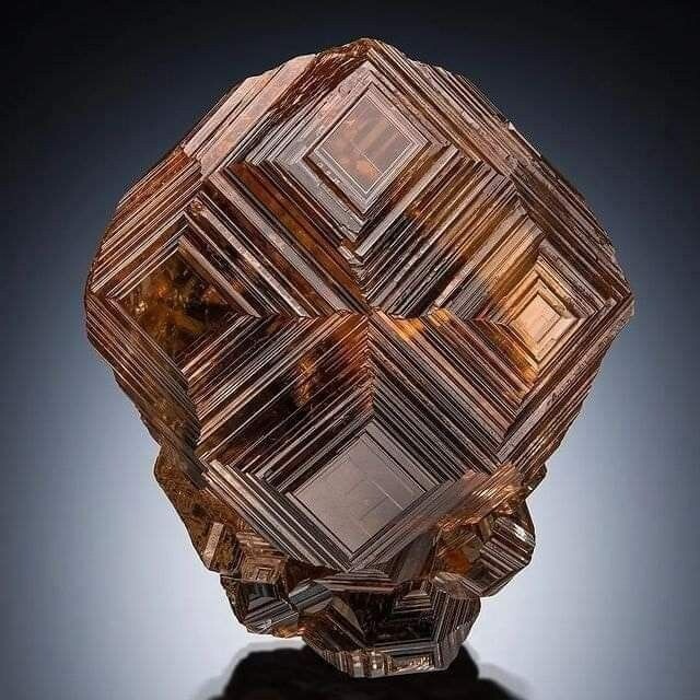 Красавец гранат