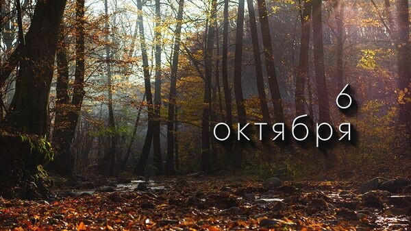    © Photo : Andy Kuzma: Pexels