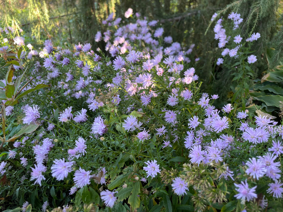 Октябрьское фото без прикрас
