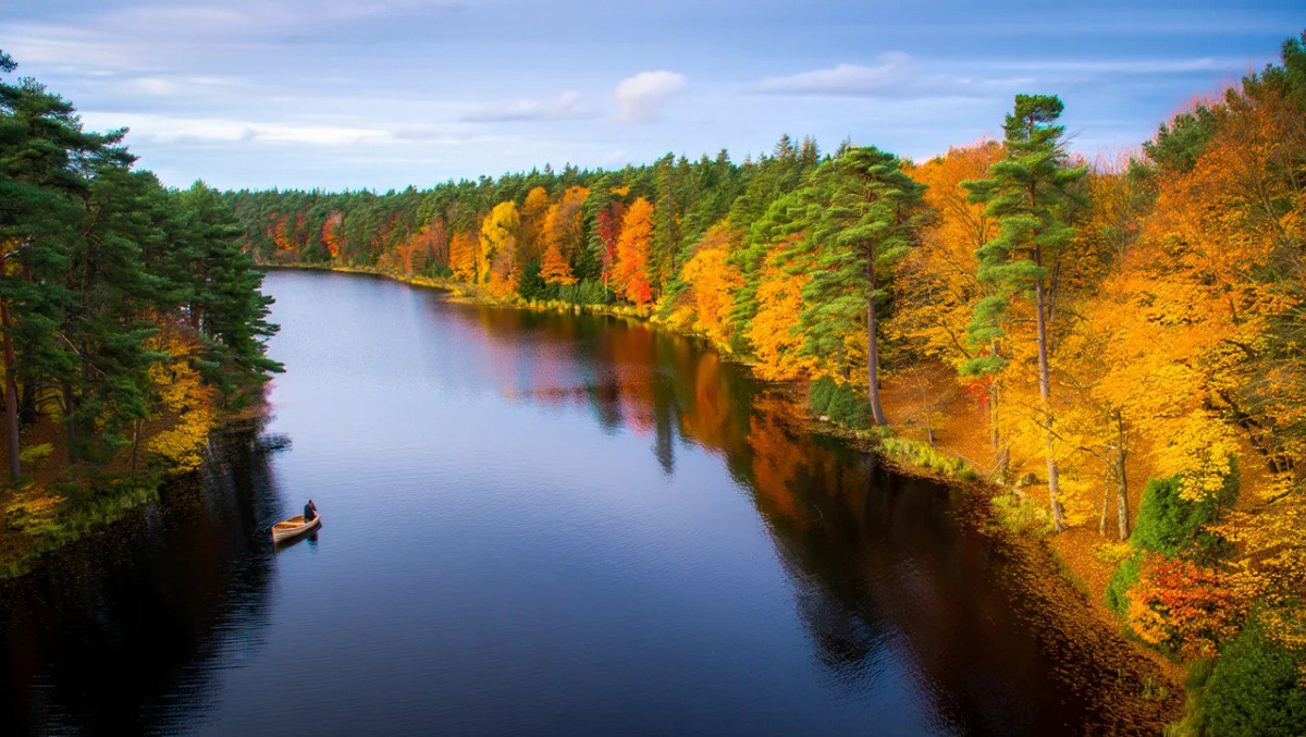 Какие компании заплатят самые щедрые дивиденды до конца 2025 года?