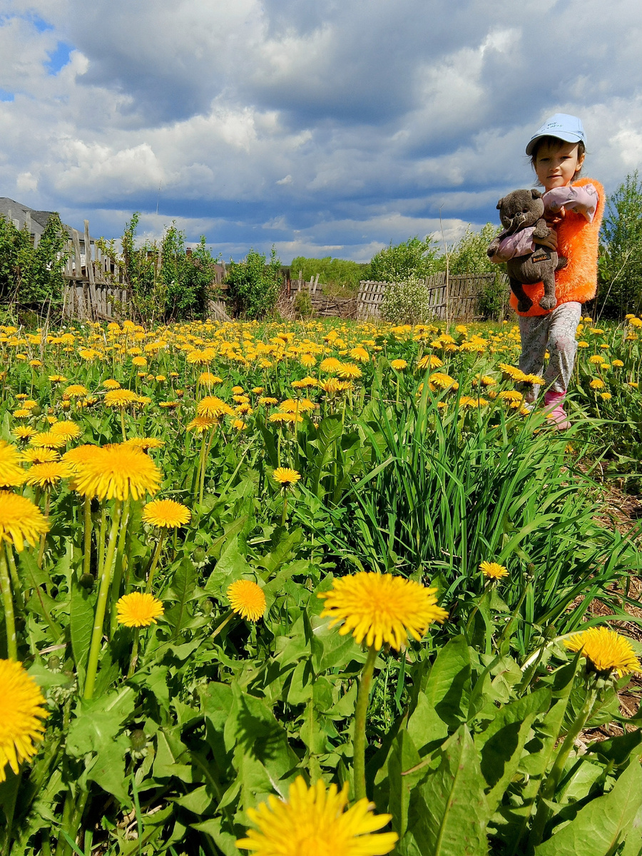 Лето только началось