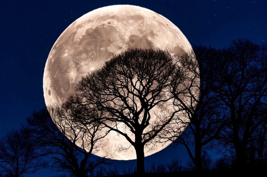    Фото: Шедеврум Редактор