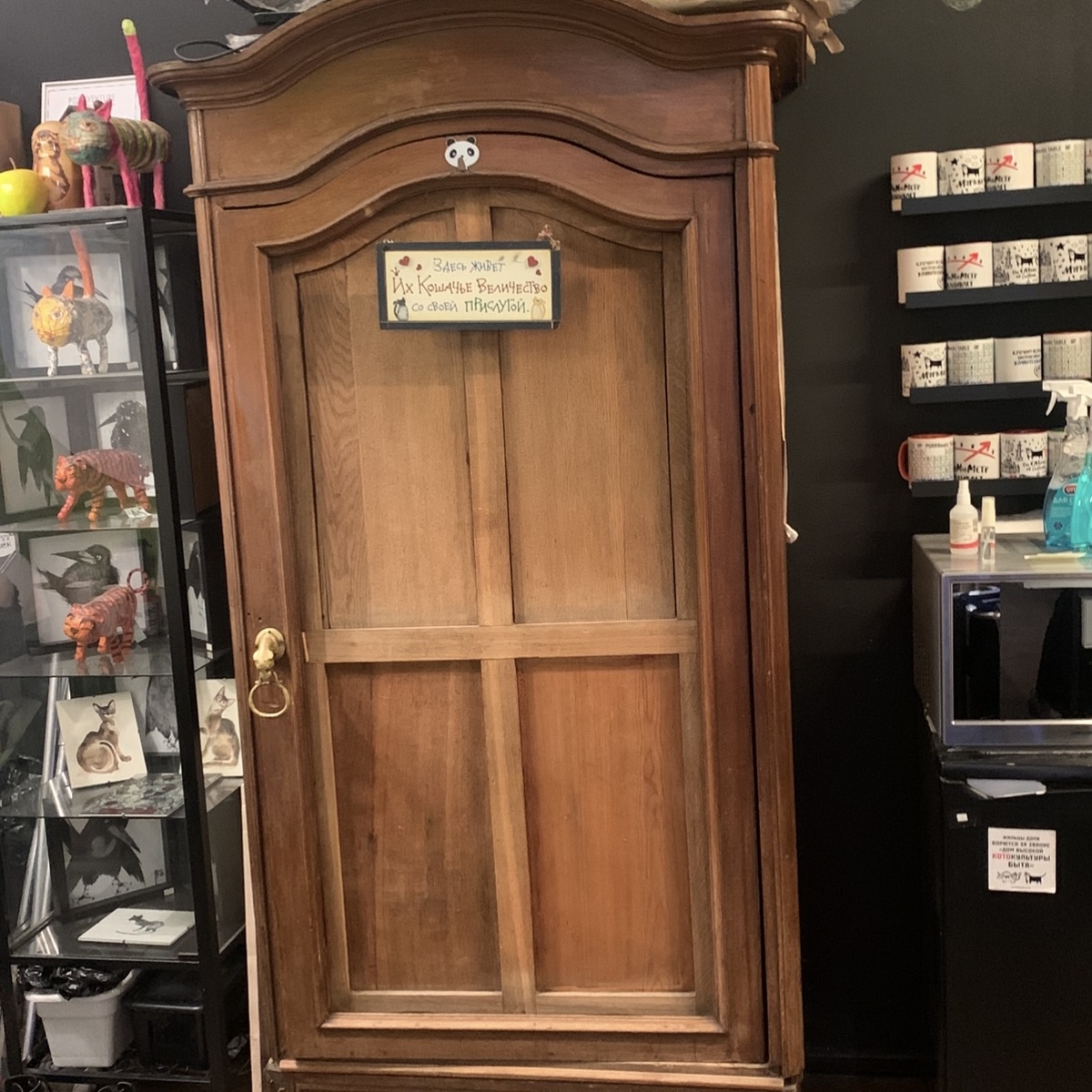 Дверь к котикам 