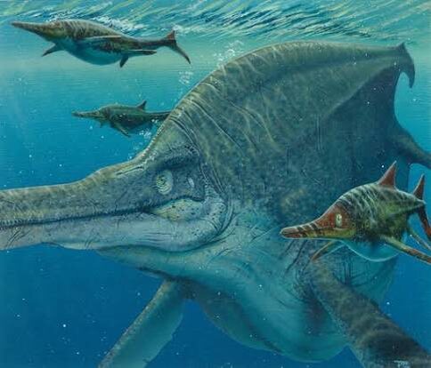 Шонизавр и его мелкие родичи.