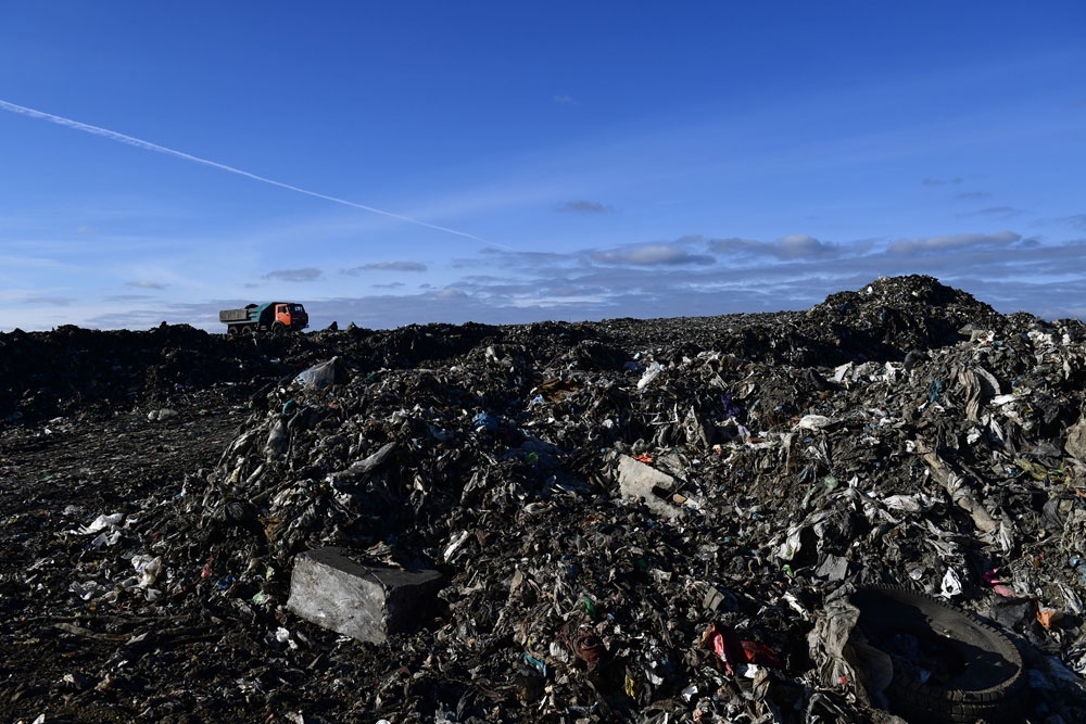    Павел Лисицын / РИА Новости