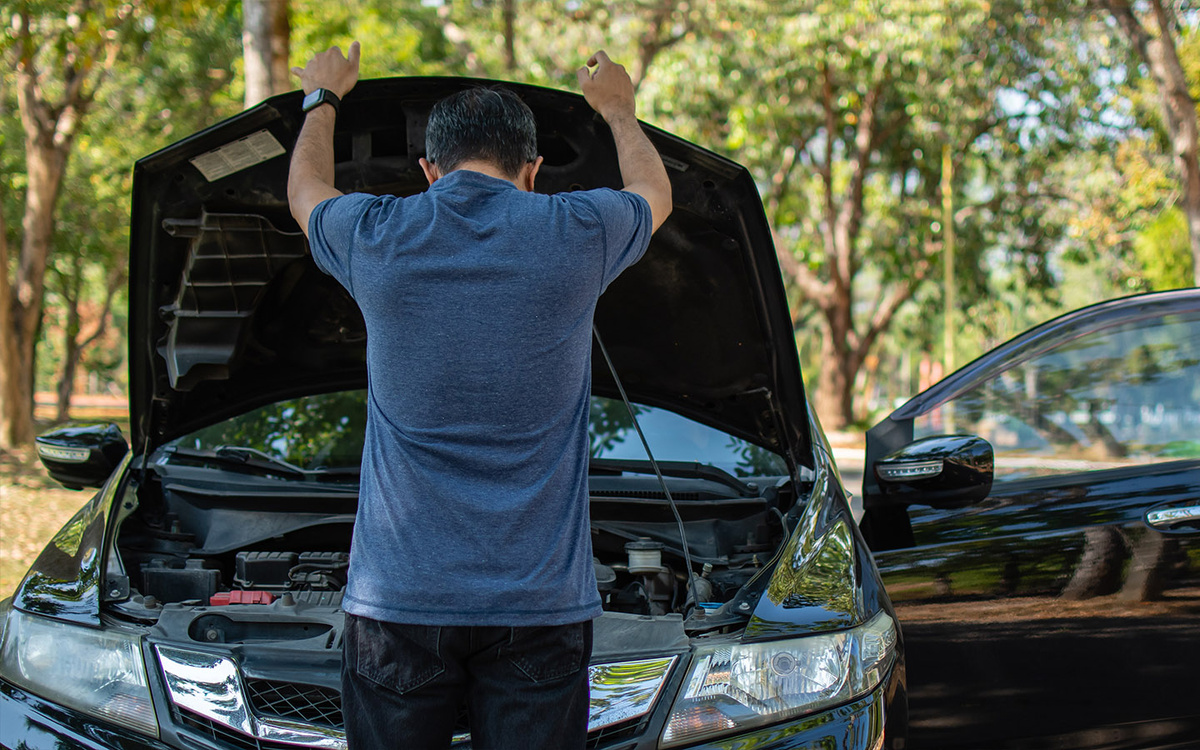    Mdisk / Shutterstock / FOTODOM