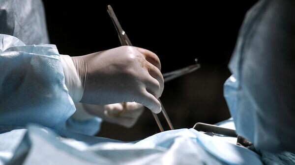    © Sputnik / Константин Михальчевский