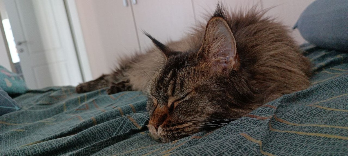 Вооот тут меня гладить хорошо!