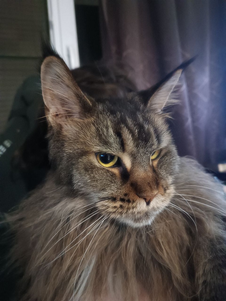 Тут я недовольновая, что Грозный котографирует. Я не разрешала!