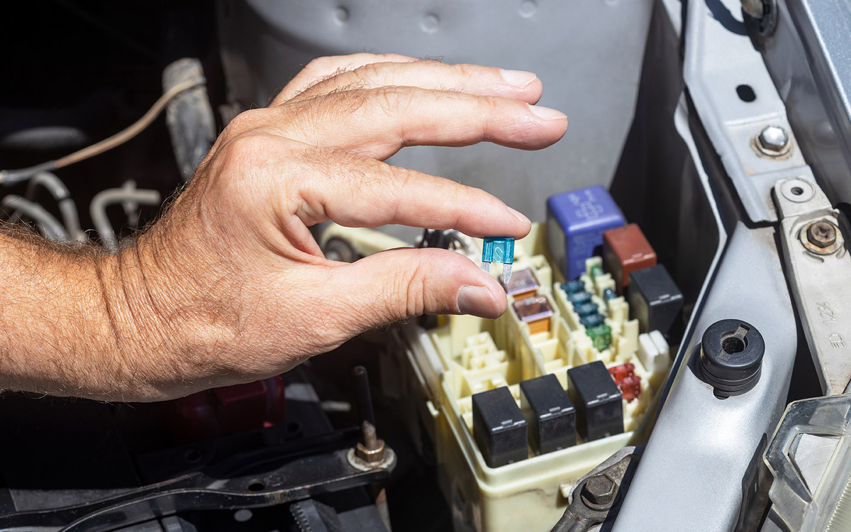    wellphoto / Shutterstock / FOTODOM