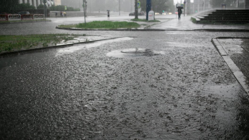    Фото: Sergey Zaykov/Shutterstock