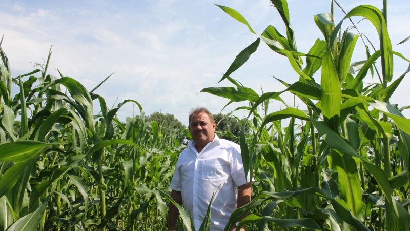     Сергей Букреев Щелково агрохим