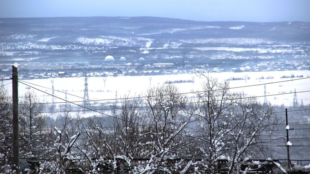    Фото: LiveParty/Shutterstock/Fotodom