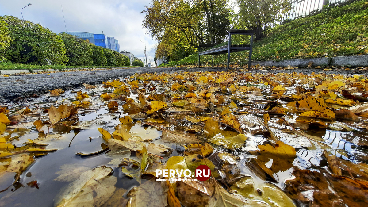 Фото Кравчук Максим / www.pervo.ru